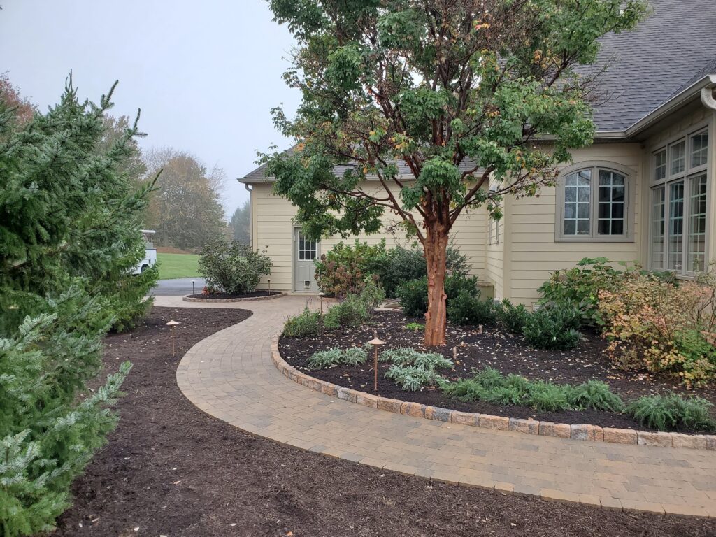 Mulching and mature trees along a curving path next to a home.