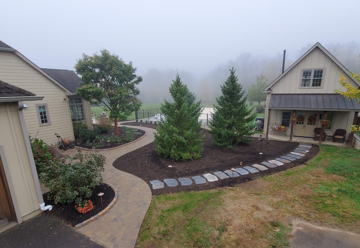 Landscaping with mature trees on a foggy day