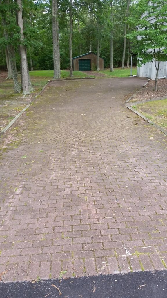 Driveway of brick pavers covered in green moss